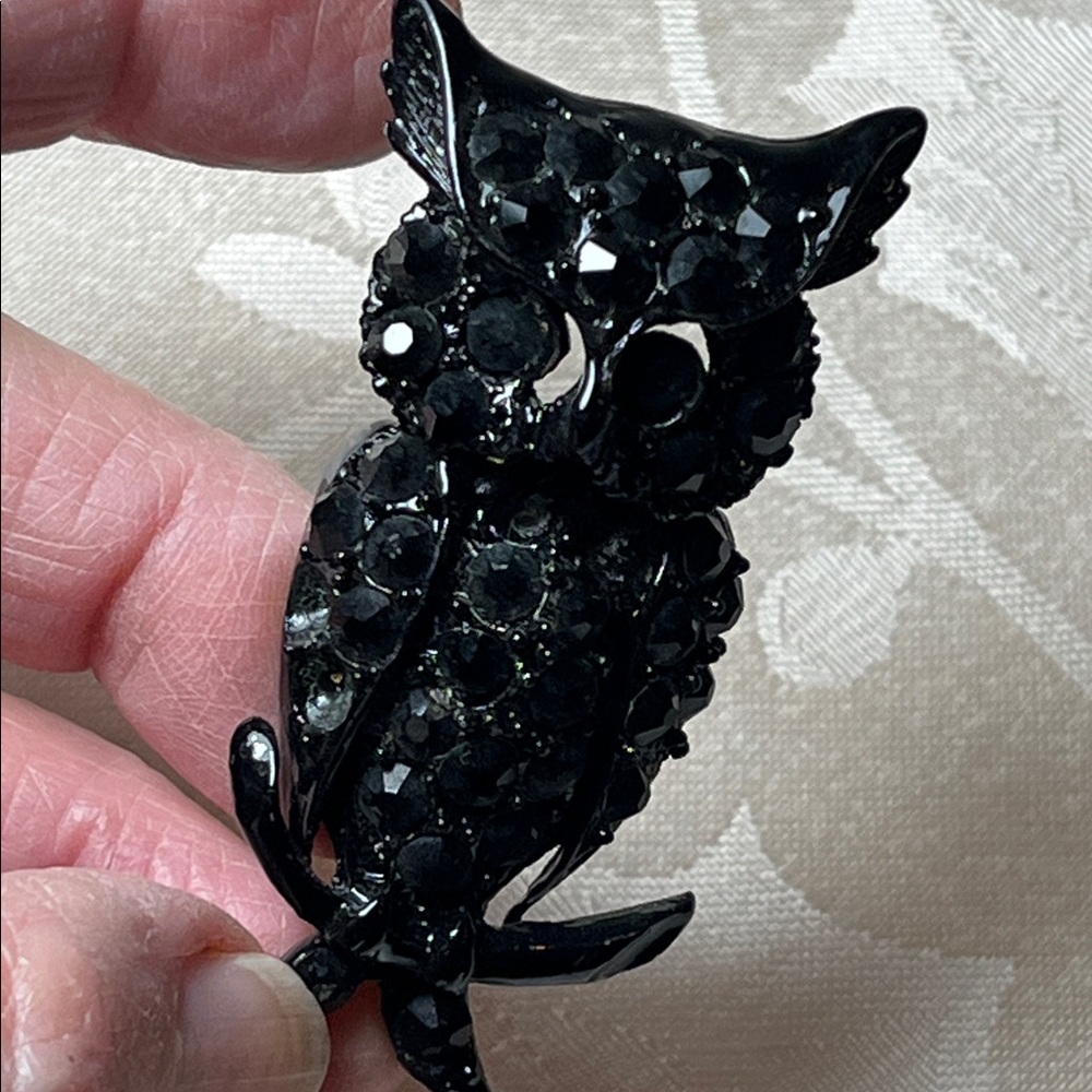 Vintage Black Owl Rhinestone Brooch.! Definitely a fun conversation piece